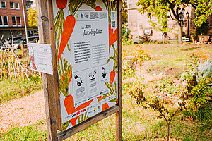Holztafel „Essbare Stadt Nürnberg“ am Jakobsmarkt mit Illustrationen, Textinformationen und Gemüse‑Motiven in einem urbanen Gemeinschaftsgarten.